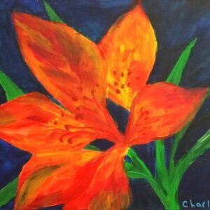 Asiatic Lily