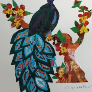 Peacock Paradise