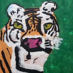 tiger