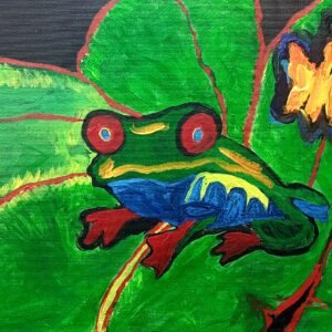 Red Eyed Tree Frog