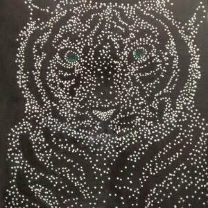 Tamara T - Hidden Tiger.jpg